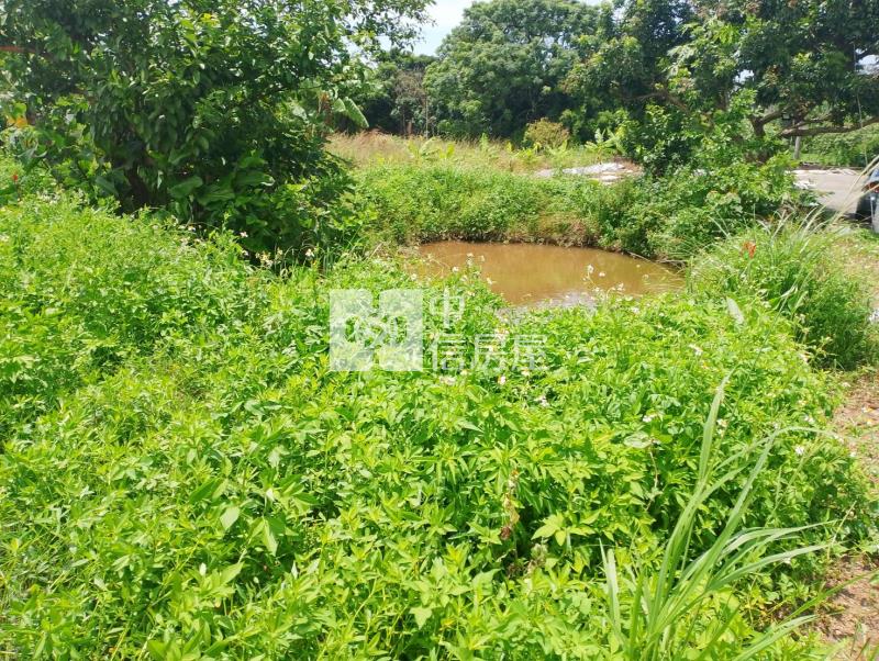 近台31線過嶺合法農舍+農地房屋室內格局與周邊環境