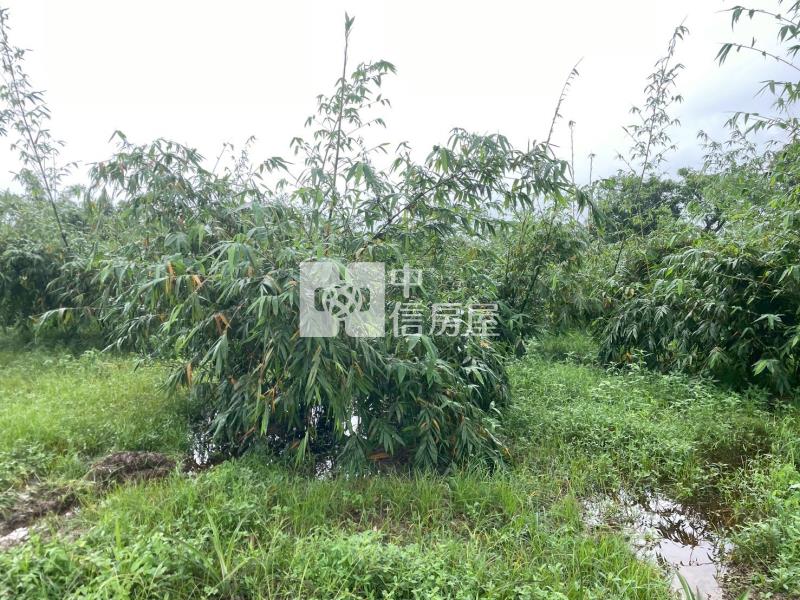 專-歸仁2分多增值美一般農房屋室內格局與周邊環境