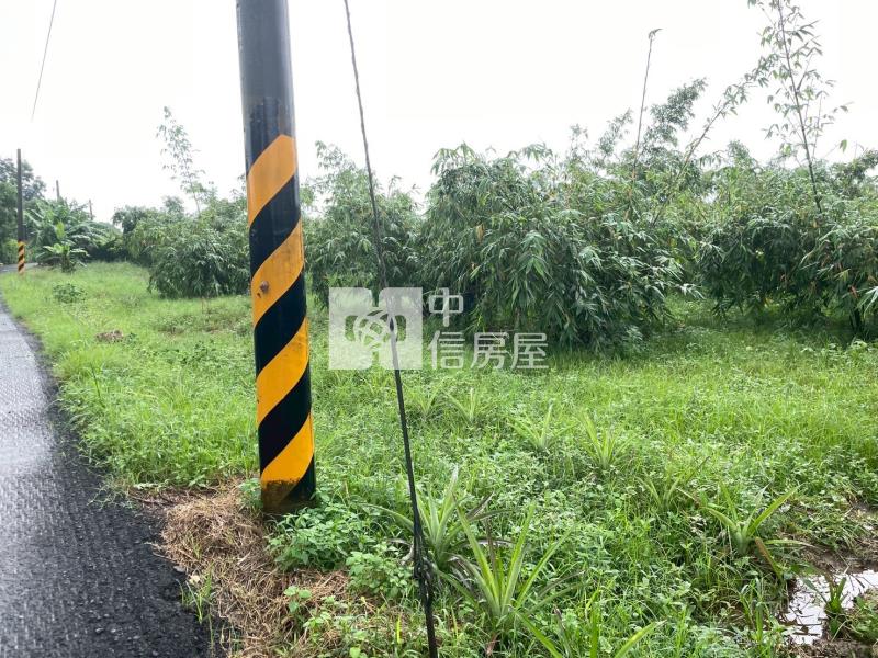 專-歸仁2分多增值美一般農房屋室內格局與周邊環境