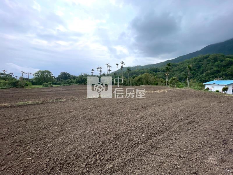 H1-5重安農地送平房+倉庫房屋室內格局與周邊環境
