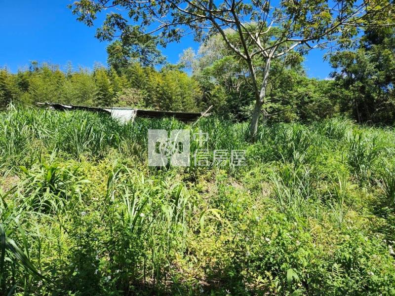 東眼山風景區旁景觀休閒農地房屋室內格局與周邊環境