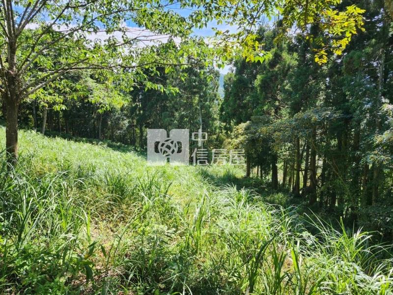 東眼山風景區旁景觀休閒農地房屋室內格局與周邊環境