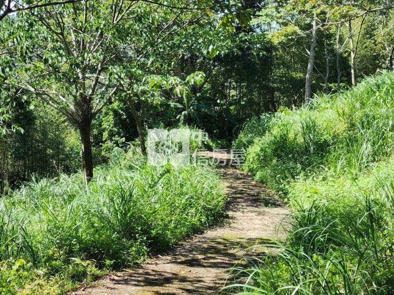 東眼山風景區旁景觀休閒農地房屋室內格局與周邊環境