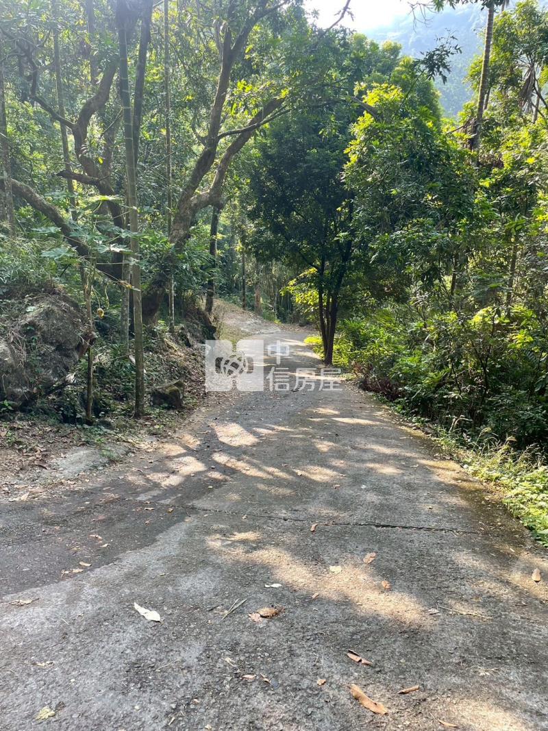 國姓交流道千坪農地房屋室內格局與周邊環境