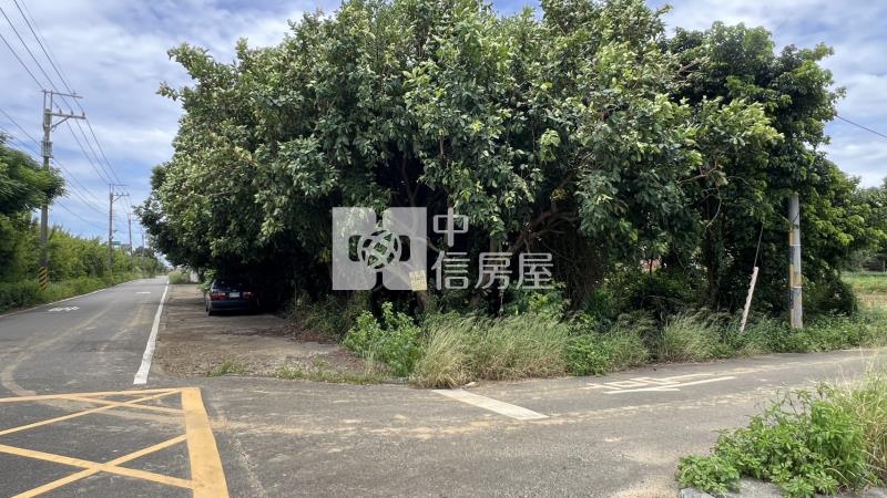 楊梅台31雙面路農地房屋室內格局與周邊環境