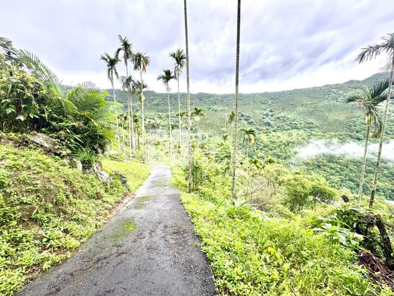 國姓堰塞湖千坪農地房屋室內格局與周邊環境