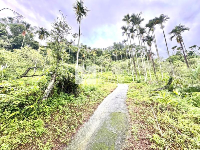 國姓堰塞湖千坪農地房屋室內格局與周邊環境