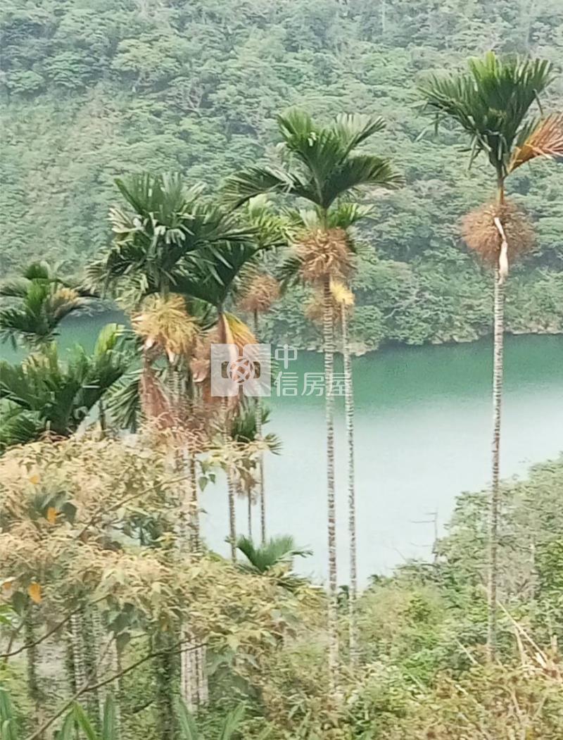 國姓堰塞湖千坪農地房屋室內格局與周邊環境