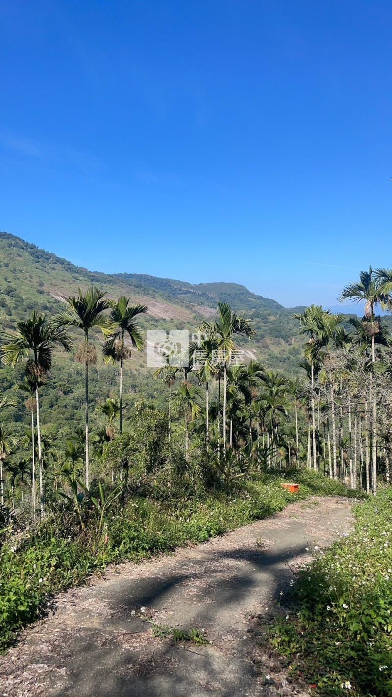 國姓堰塞湖千坪農地房屋室內格局與周邊環境