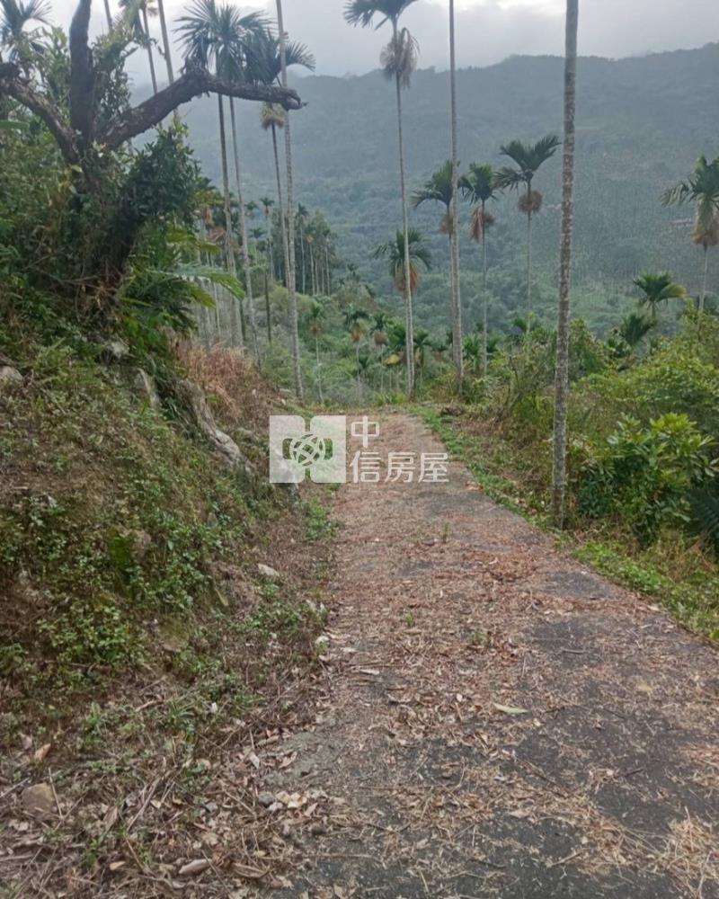 國姓堰塞湖千坪農地房屋室內格局與周邊環境