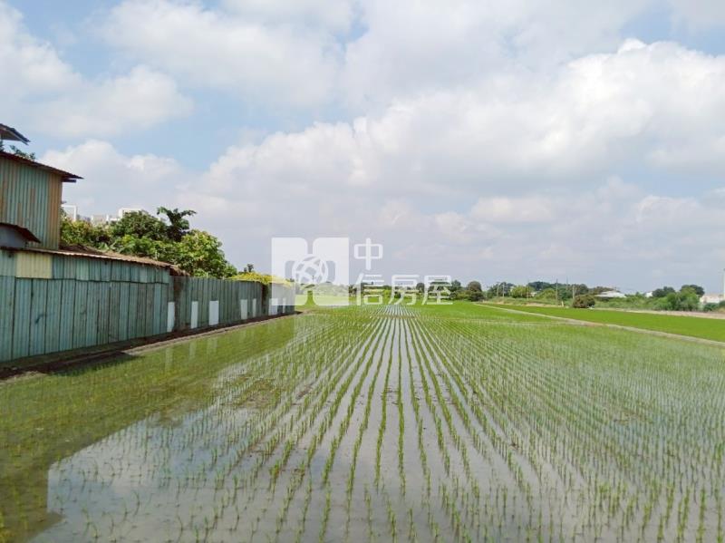 斗六絲織工業區旁農地房屋室內格局與周邊環境