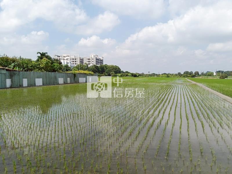 斗六絲織工業區旁農地房屋室內格局與周邊環境