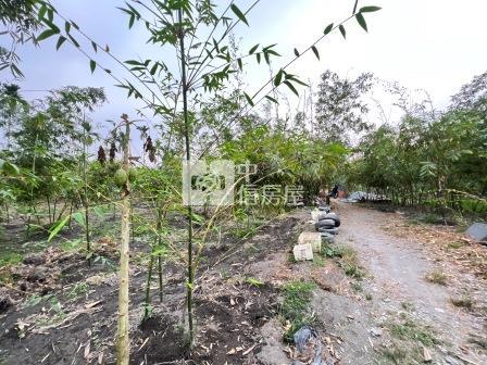 屏東土地-長治優質農地房屋室內格局與周邊環境