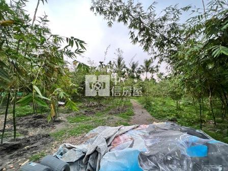 屏東土地-長治優質農地房屋室內格局與周邊環境