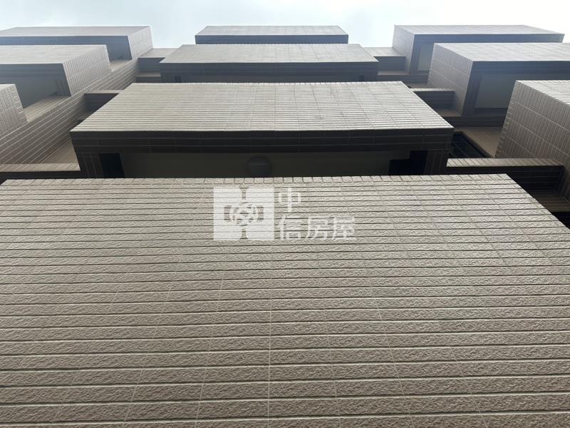 【神馬】八德忠勇街全新透天別墅房屋室內格局與周邊環境