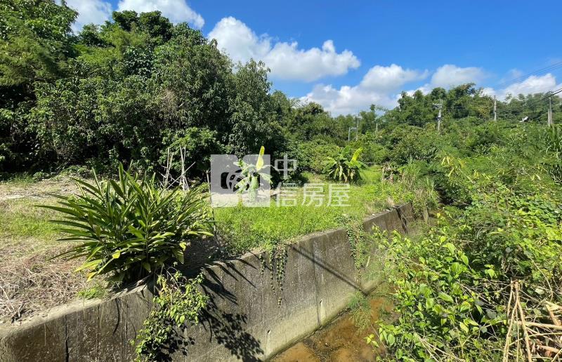 高雄田寮便宜農地房屋室內格局與周邊環境