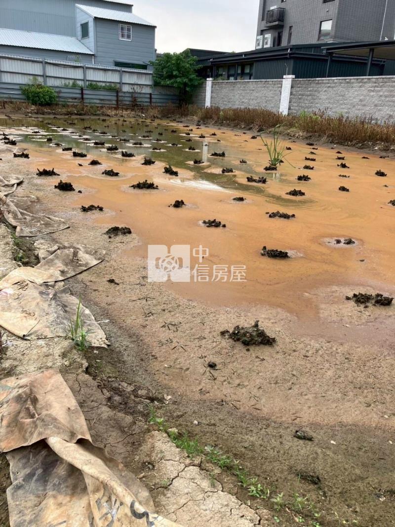 平鎮賦梅北路都內農房屋室內格局與周邊環境