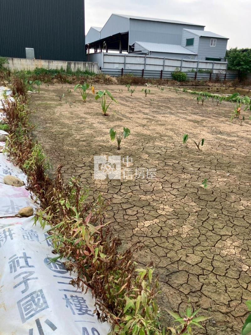 平鎮賦梅北路都內農房屋室內格局與周邊環境