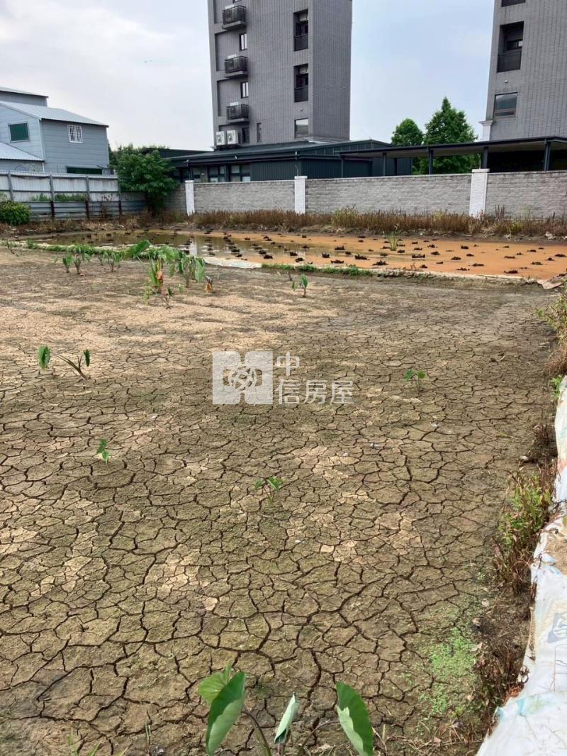 平鎮賦梅北路都內農房屋室內格局與周邊環境