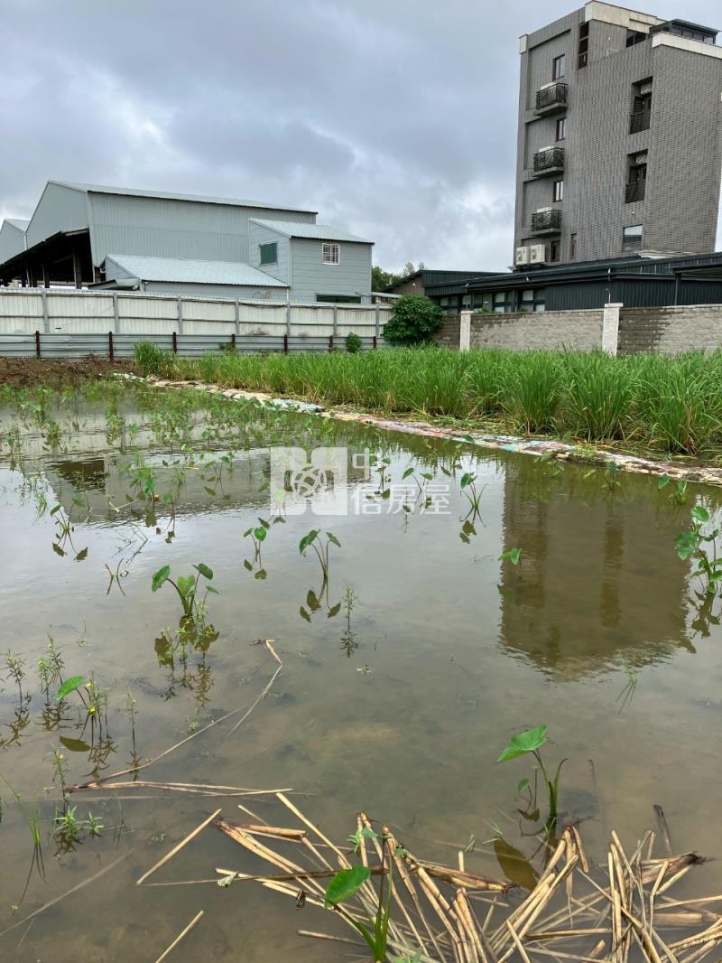 平鎮賦梅北路都內農房屋室內格局與周邊環境