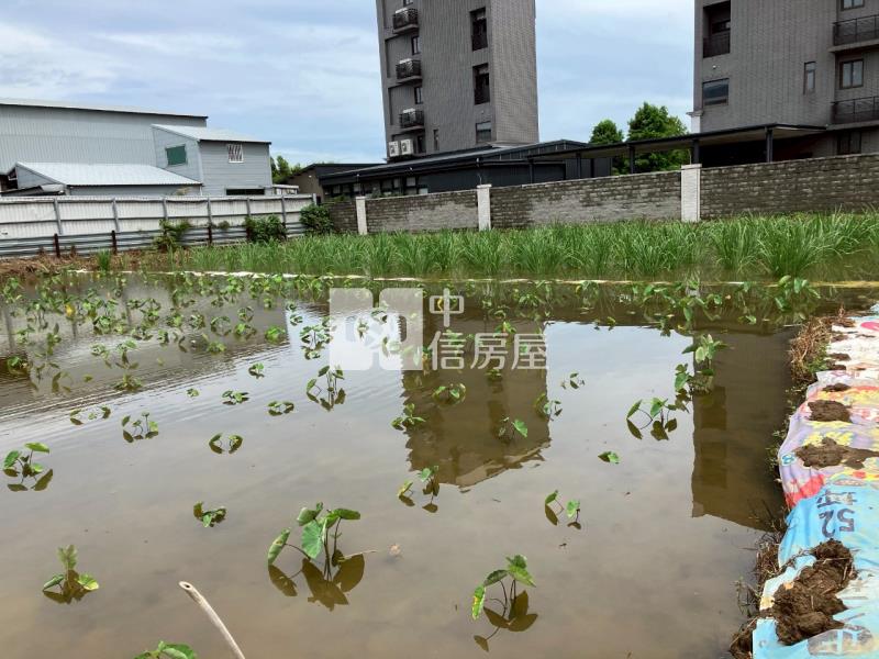 平鎮賦梅北路都內農房屋室內格局與周邊環境