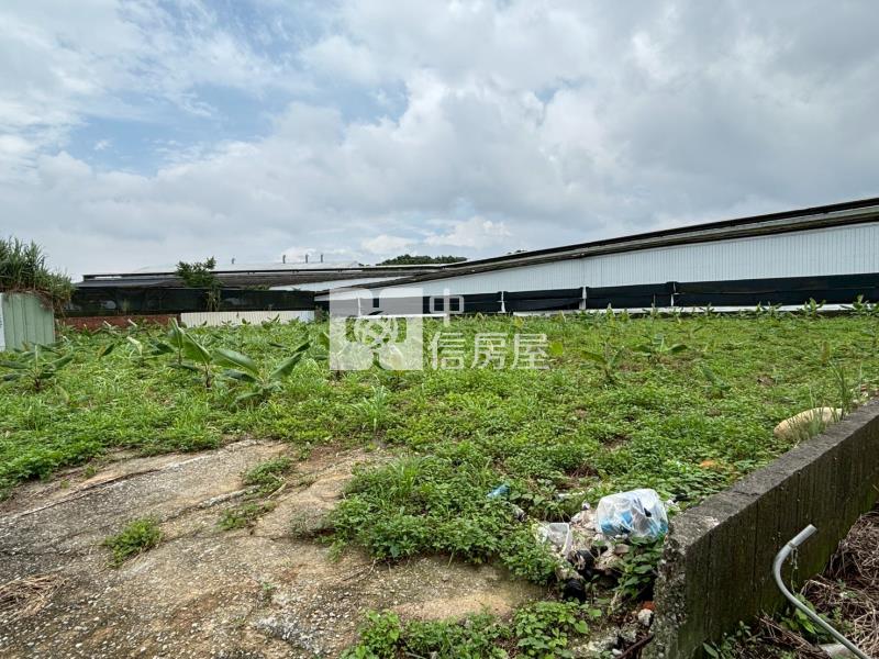 新社近花海千坪大面寬美農地房屋室內格局與周邊環境