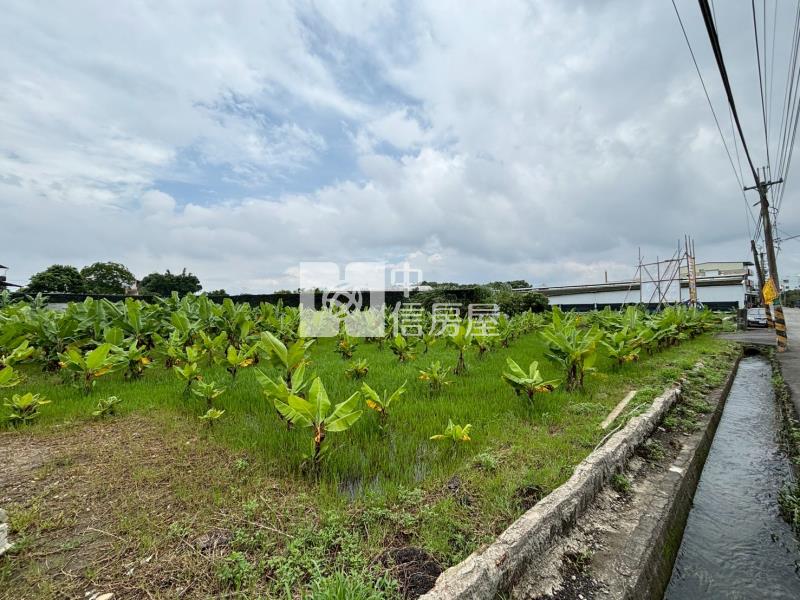 新社近花海千坪大面寬美農地房屋室內格局與周邊環境