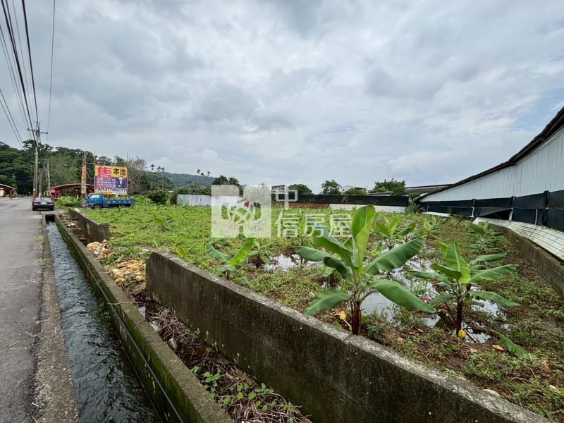新社近花海千坪大面寬美農地房屋室內格局與周邊環境