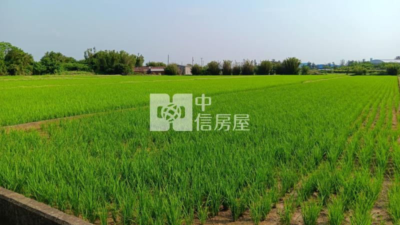【安家】專任-新屋區*大坡段大坡小段*美農地房屋室內格局與周邊環境