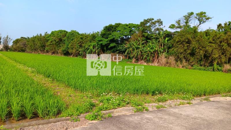 【安家】專任-新屋區*大坡段大坡小段*美農地房屋室內格局與周邊環境
