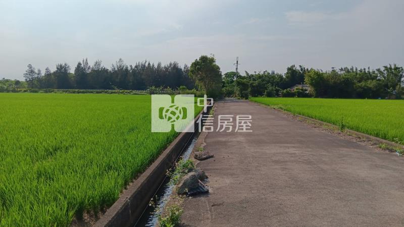 【安家】專任-新屋區*大坡段大坡小段*美農地房屋室內格局與周邊環境