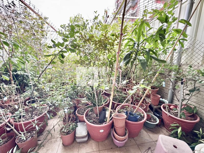 近愛買商圈.楊梅交流道方正店面透天房屋室內格局與周邊環境
