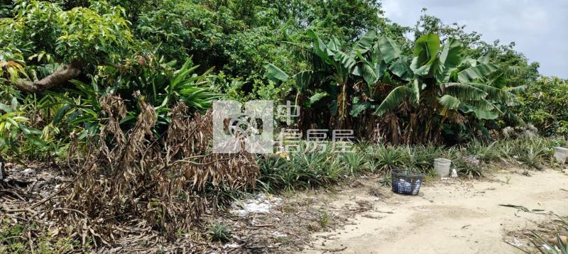 新市潭頂小弄弄小農保小農地房屋室內格局與周邊環境