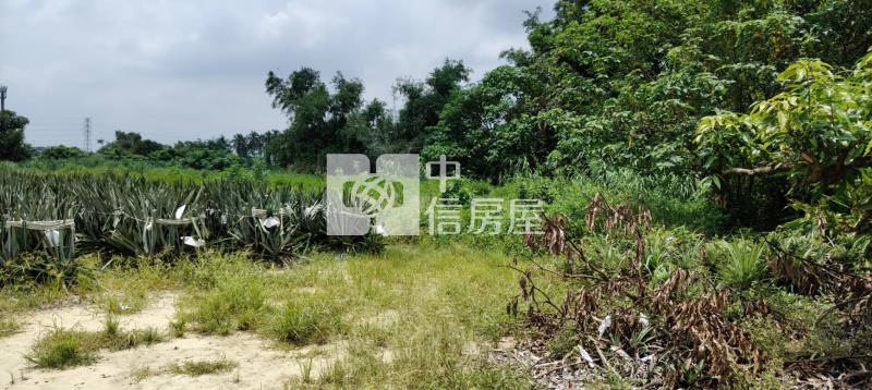 新市潭頂小弄弄小農保小農地房屋室內格局與周邊環境