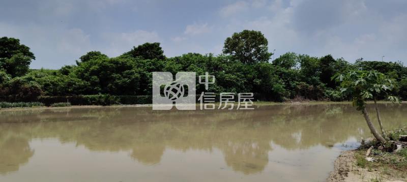新市潭頂小弄弄小農保小農地房屋室內格局與周邊環境