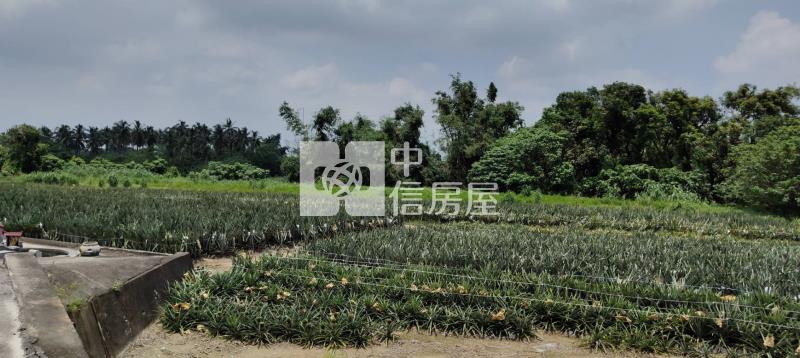 新市潭頂小弄弄小農保小農地房屋室內格局與周邊環境