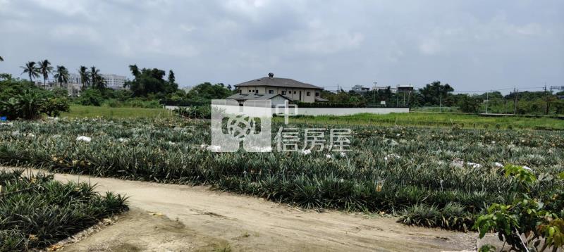新市潭頂小弄弄小農保小農地房屋室內格局與周邊環境