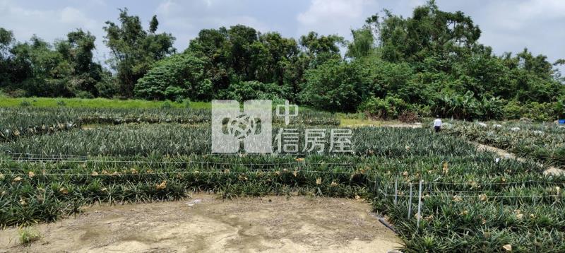 新市潭頂小弄弄小農保小農地房屋室內格局與周邊環境