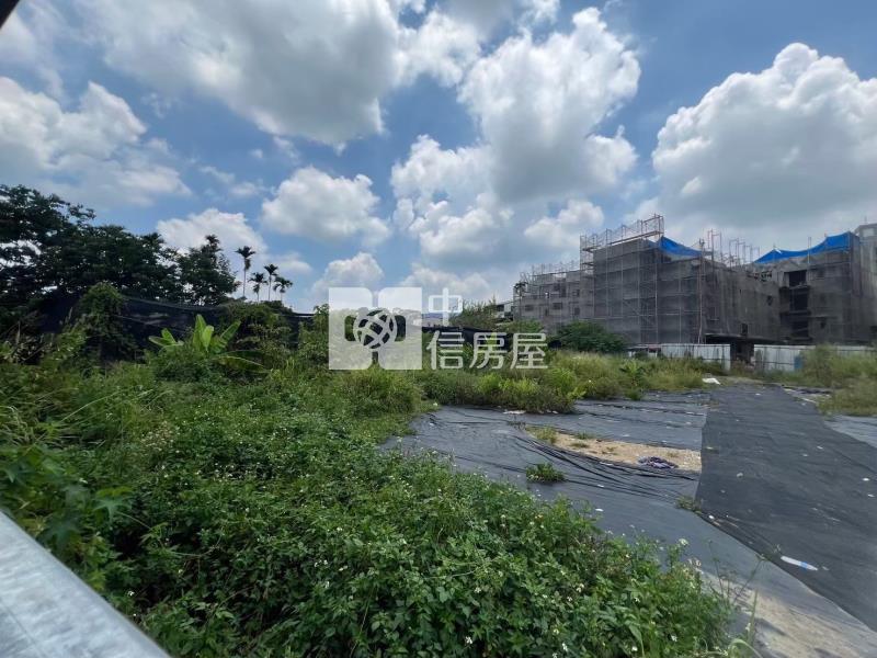 新社櫻花秘境持分農地房屋室內格局與周邊環境