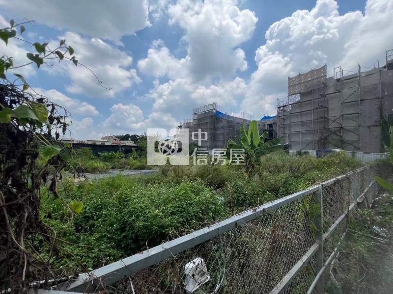 新社櫻花秘境持分農地房屋室內格局與周邊環境