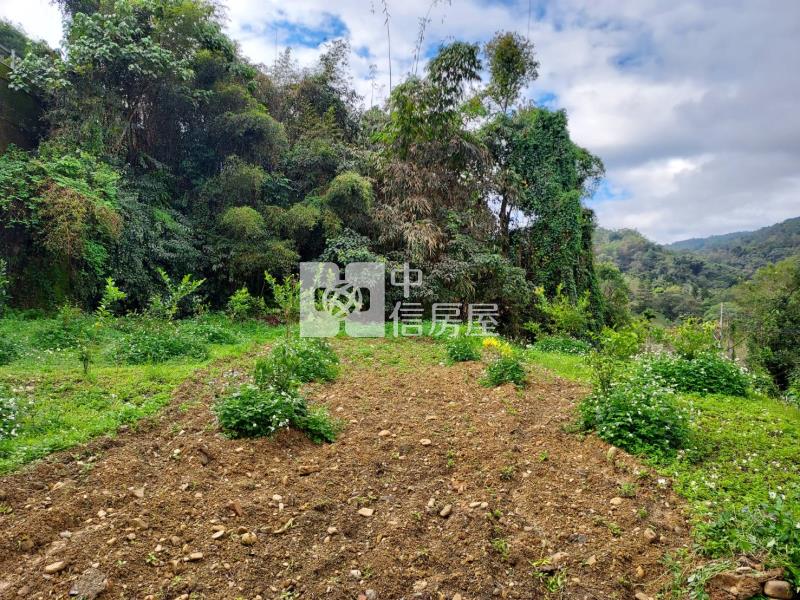 中潭丙建房屋室內格局與周邊環境