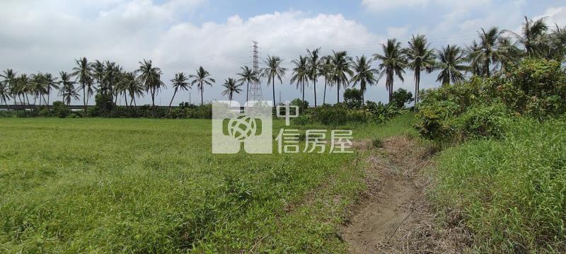 新市鄰科學園區旁小額投資農業區房屋室內格局與周邊環境