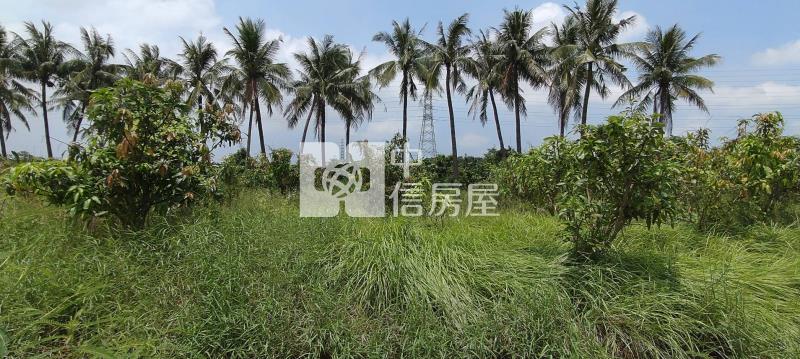 新市鄰科學園區旁小額投資農業區房屋室內格局與周邊環境