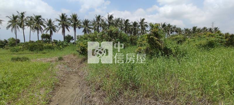 新市鄰科學園區旁小額投資農業區房屋室內格局與周邊環境