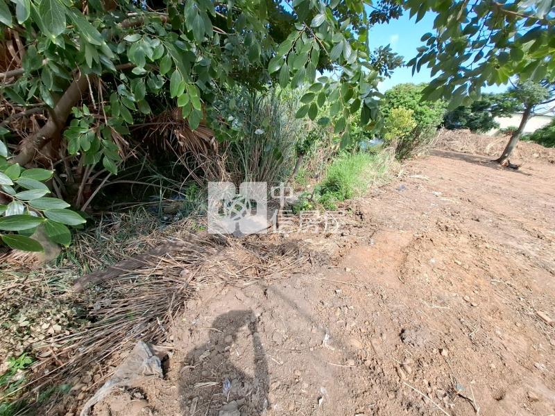 觀音桃科特定目的事業用地(幼兒園使用)房屋室內格局與周邊環境