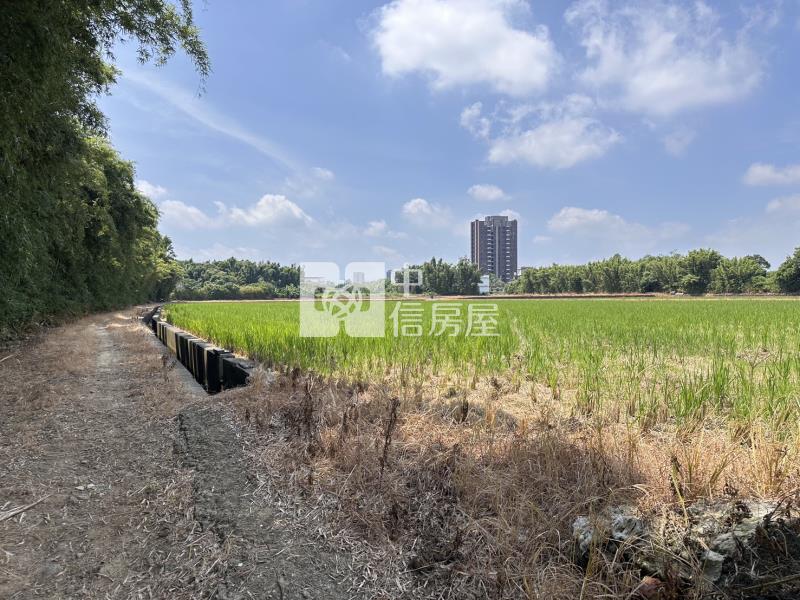 平鎮東金段農地房屋室內格局與周邊環境