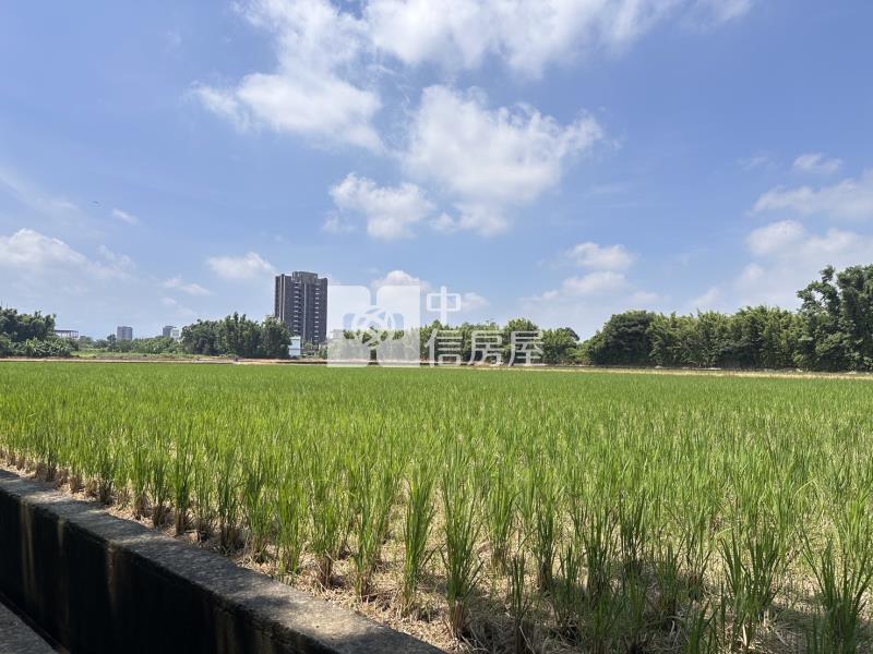 平鎮東金段農地房屋室內格局與周邊環境