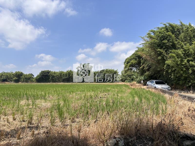 平鎮東金段農地房屋室內格局與周邊環境