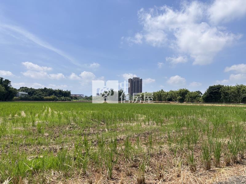 平鎮東金段農地房屋室內格局與周邊環境