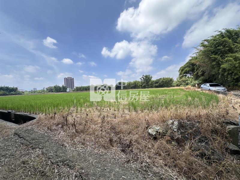 平鎮東金段農地房屋室內格局與周邊環境